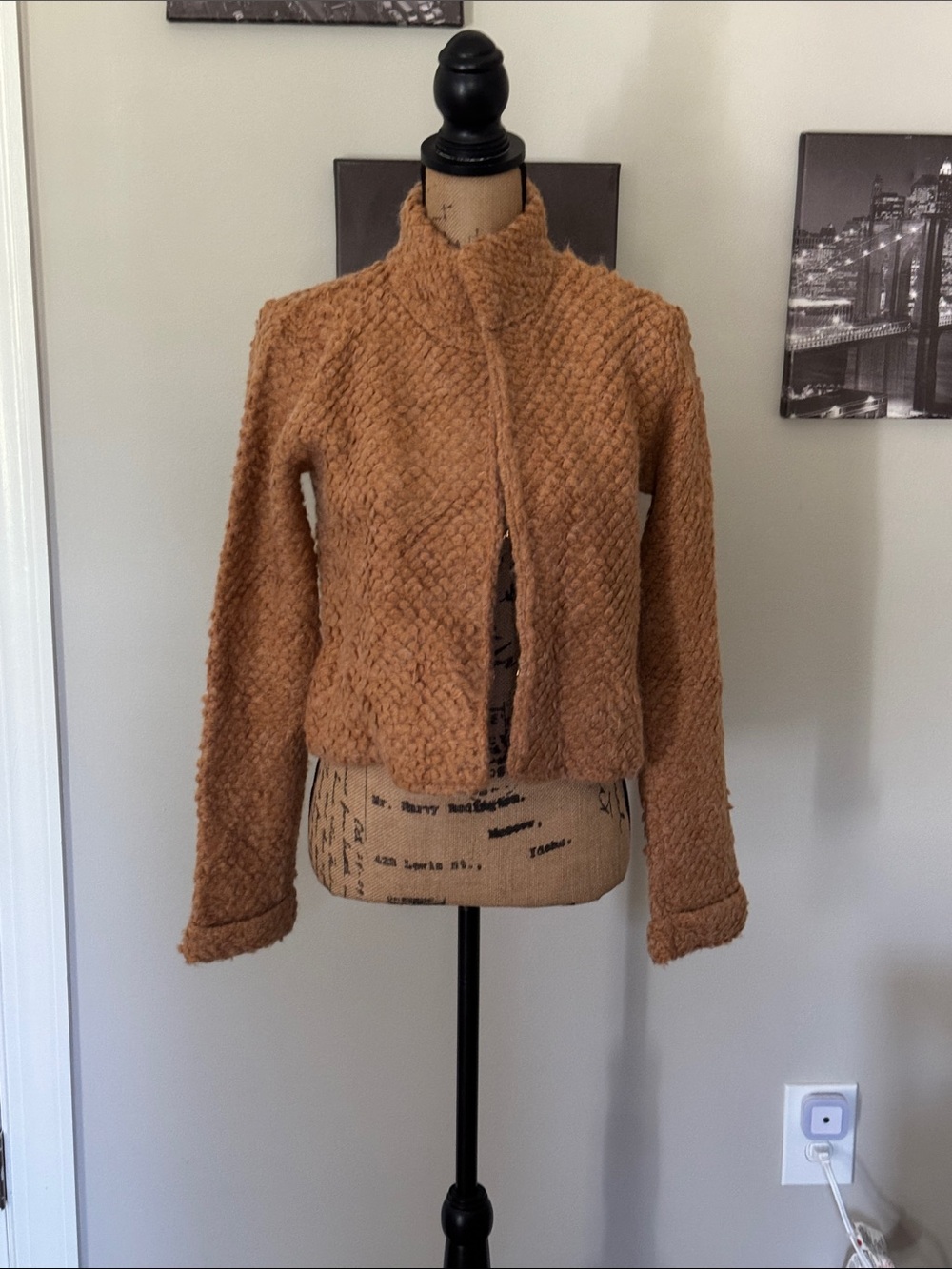 Women's Camel Teddy Jacket - Plush Cropped Coat